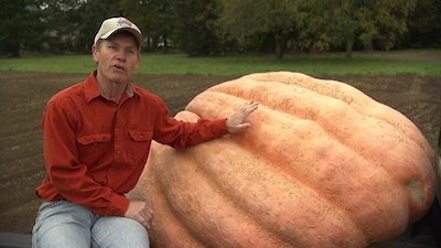 Gardening by the Yard Season 17 Episode 8