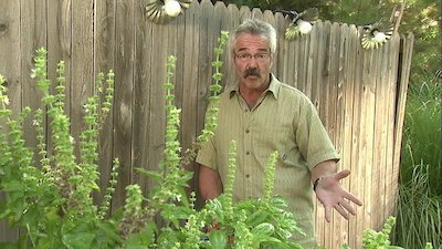 Gardening by the Yard Season 17 Episode 3