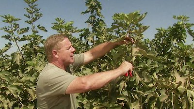 Gardening by the Yard Season 17 Episode 7