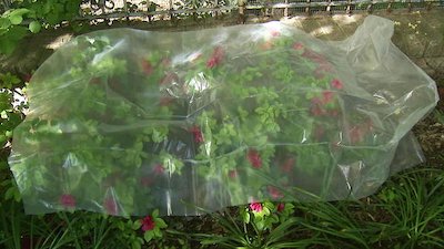 Gardening by the Yard Season 16 Episode 6