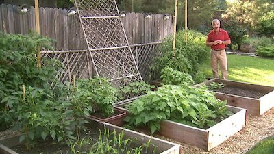 Gardening by the Yard Season 16 Episode 12