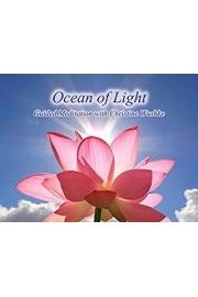 Guided Meditation with Christine Wushke