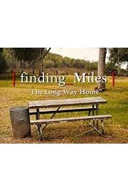 Finding Miles The Long Way Home