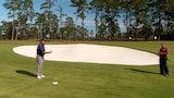 Mark O'Meara: Short Game