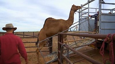 Outback Truckers Season 9 Episode 10