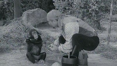 McHale's Navy Season 4 Episode 22