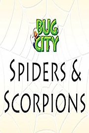 Bug City