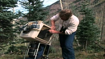 Wild America Season 5 Episode 5