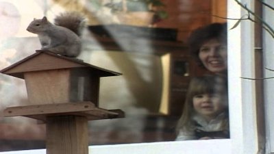 Wild America Season 1 Episode 10