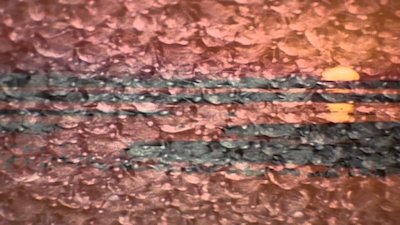 Wild America Season 8 Episode 8