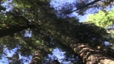 Wild America Season 8 Episode 3