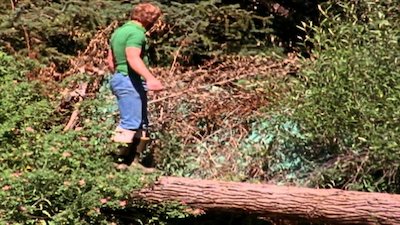 Wild America Season 12 Episode 7