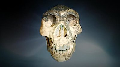 Ancient Aliens Season 17 Episode 5