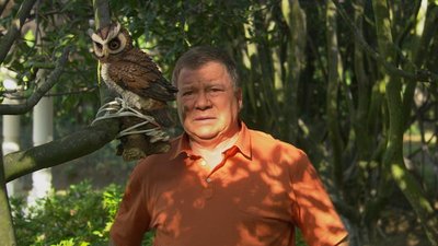 Weird or What? Season 2 Episode 3