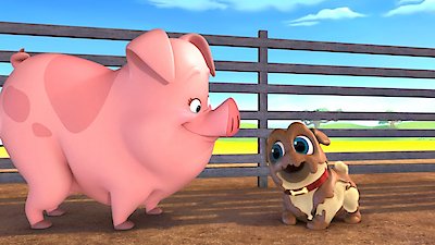 Puppy Dog Pals Season 1 Episode 8