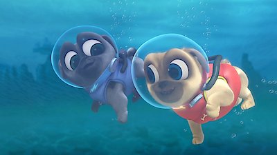 Puppy Dog Pals Season 1 Episode 10