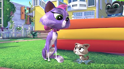 Puppy Dog Pals Season 1 Episode 11