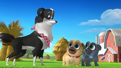 Puppy Dog Pals Season 1 Episode 12