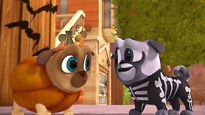 Puppy Dog Pals Season 1 Episode 17