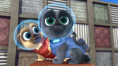 Puppy Dog Pals Season 1 Episode 104