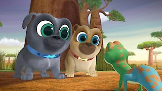 Watch Puppy Dog Pals Season 3 Episode 8 - Lemur Play / How the Dog Park ...