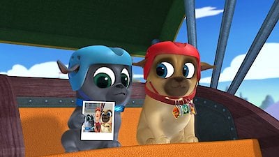 Puppy Dog Pals Season 2 Episode 30