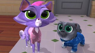 Watch Puppy Dog Pals Season 1 Episode 28 Slumber Paw ty Online Now