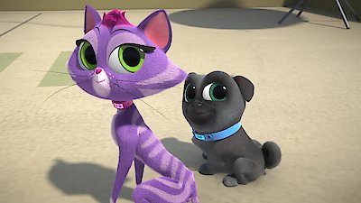 Puppy Dog Pals Season 4 Episode 41