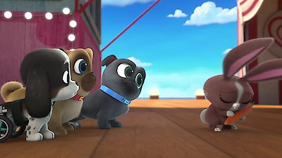 Puppy Dog Pals Season 4 Episode 42
