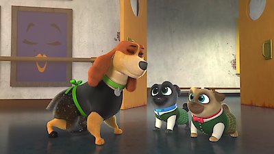 Puppy Dog Pals Season 4 Episode 43