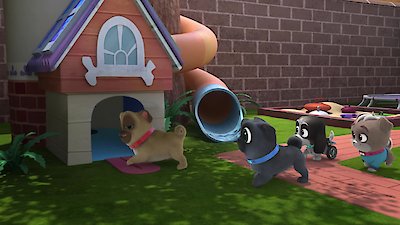 Puppy Dog Pals Season 4 Episode 47