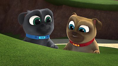Puppy Dog Pals Season 4 Episode 52