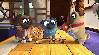 Puppy Dog Pals Season 5 Episode 5