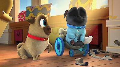 Puppy Dog Pals Season 5 Episode 13