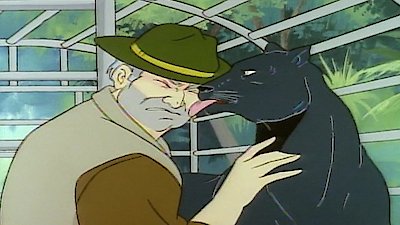 Captain Planet and the Planeteers Season 3 Episode 9