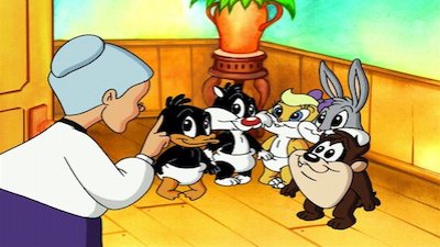 Baby Looney Tunes: Baby Taz and Friends Volume 1 Season 1 Episode 1