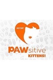 Pawsitive Kittens