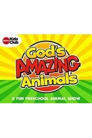 God's Amazing Animals