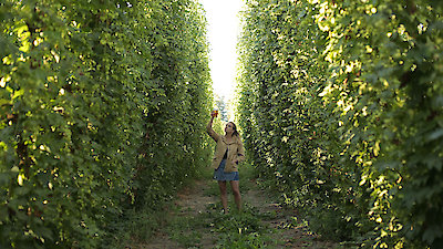 Beerland Season 2 Episode 1