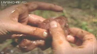 Conversations with a Serial Killer Season 1 Episode 3