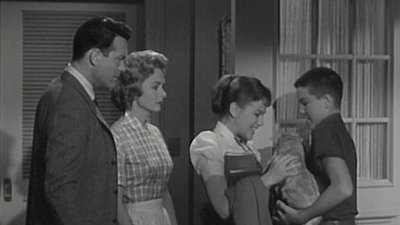 The Donna Reed Show Season 2 Episode 38