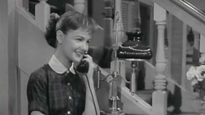 The Donna Reed Show Season 2 Episode 36