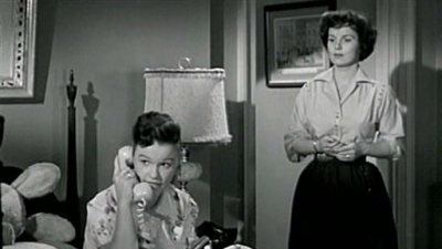 The Donna Reed Show Season 1 Episode 29