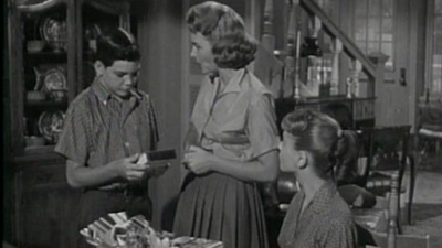 The Donna Reed Show Season 2 Episode 8