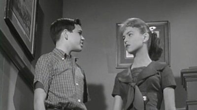 The Donna Reed Show Season 2 Episode 14