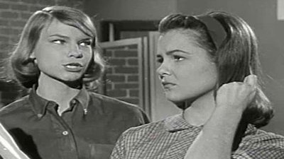 The Donna Reed Show Season 3 Episode 20
