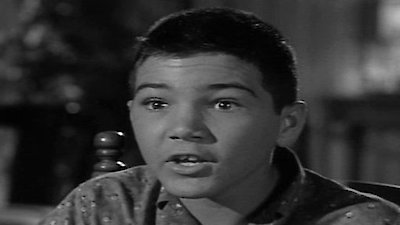 The Donna Reed Show Season 3 Episode 14