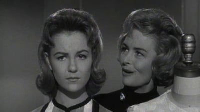 The Donna Reed Show Season 4 Episode 20