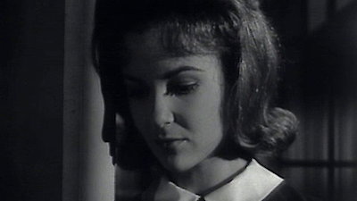 Watch The Donna Reed Show Season 5 Episode 9 - Big Star Online Now