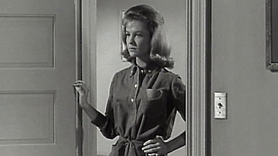 The Donna Reed Show Season 5 Episode 30